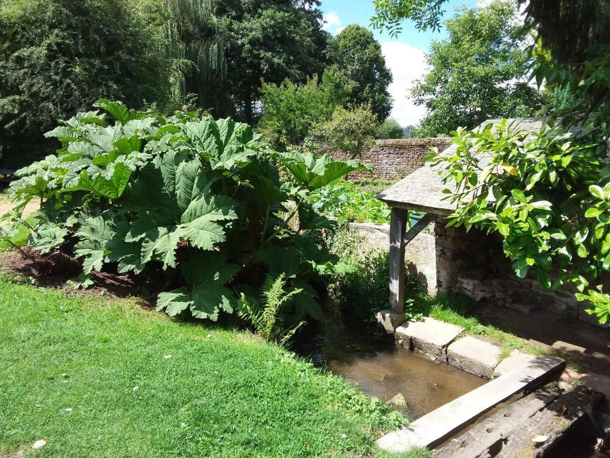 Villa L'Orchidée à Lassay-les-Châteaux Extérieur photo